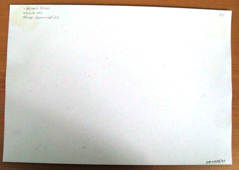 8148647.jpg