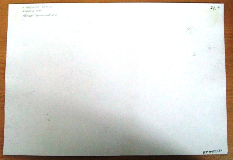 8148613.jpg