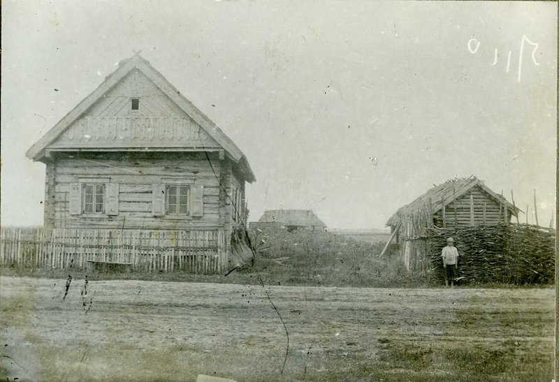 1843669.jpg