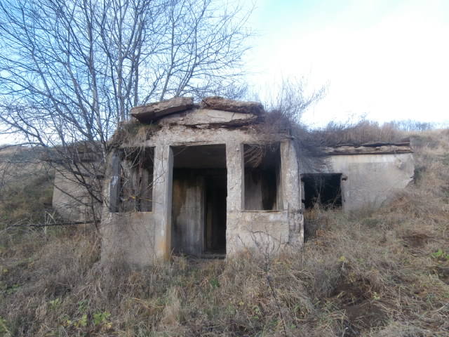 PB180940.JPG