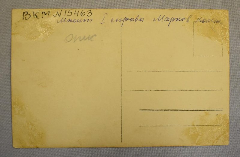 7309747.jpg