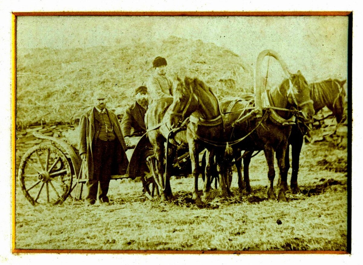 1882.jpg
