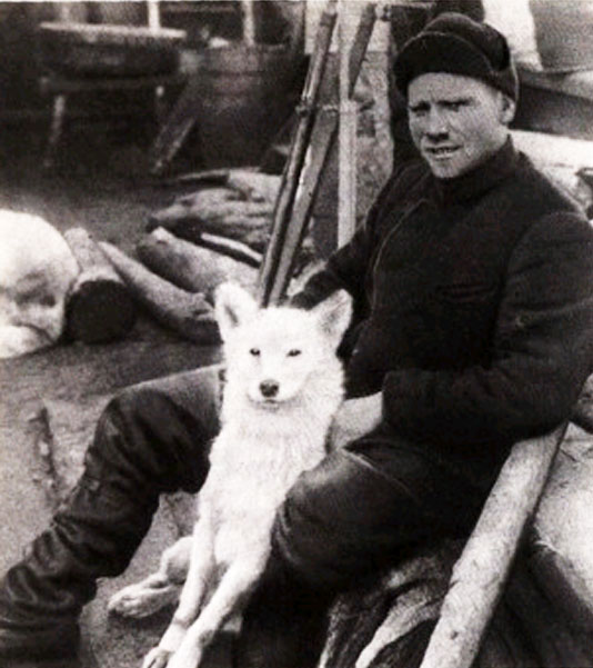 Sedov_foka.jpg