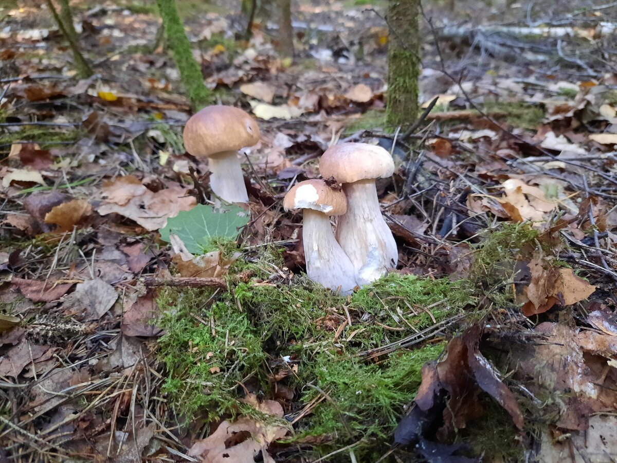 20230917_083855.jpg