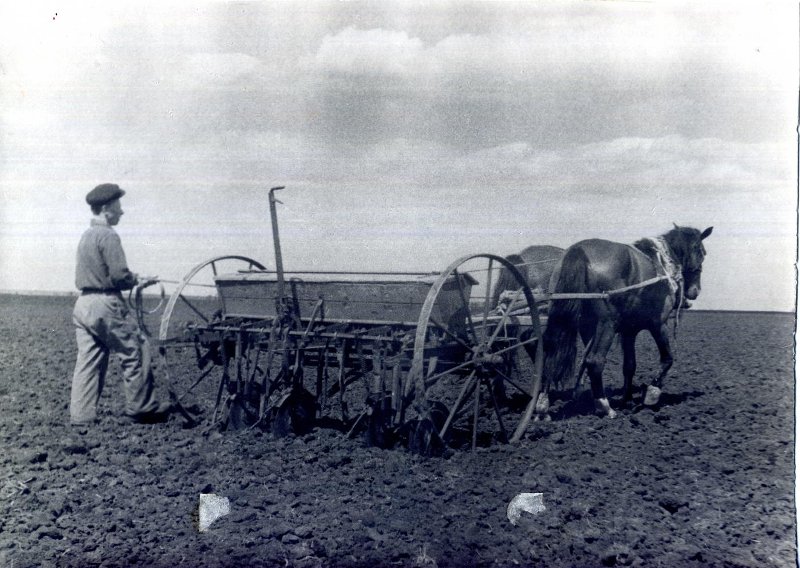 1909528.jpg
