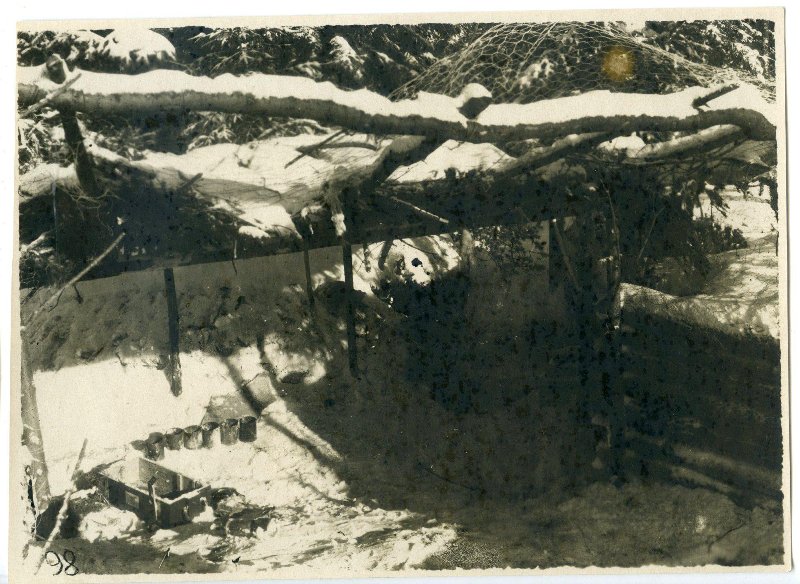 4516704.jpg