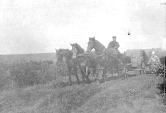 Орловская губерния. 1900е.jpg