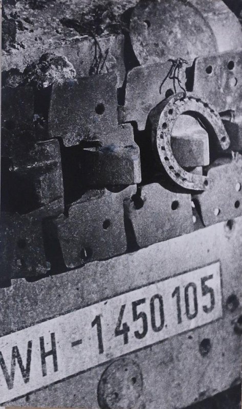 3882119.jpg