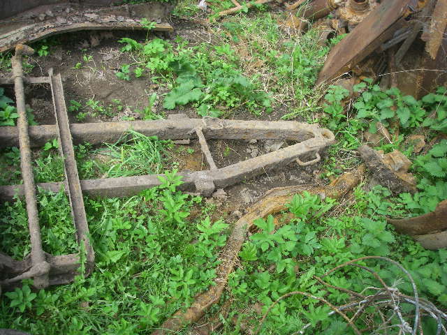 IMGP5262.JPG