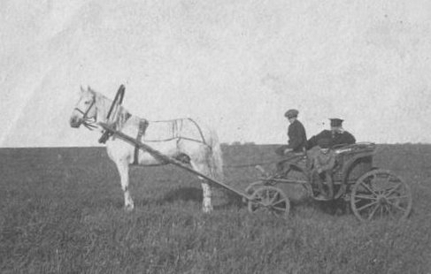 Коляска с лошадью, стоящая на поле» Фотограф Хожателев П. Поволжье. 1910гг.jpg