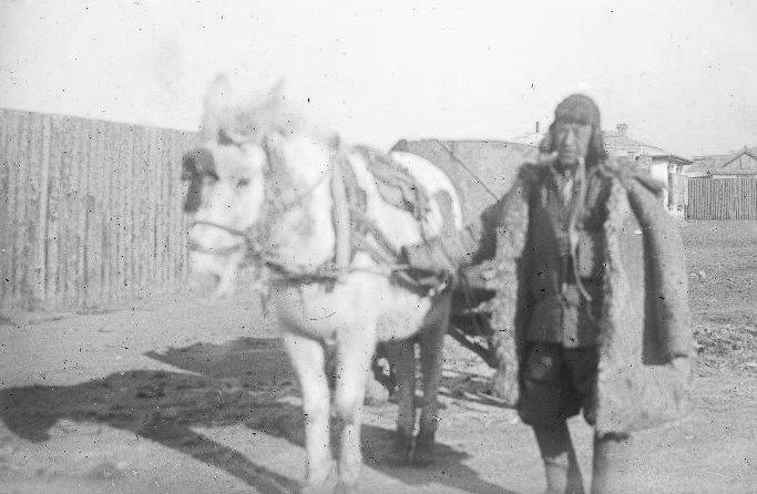 Лошадь, запряженная в повозку, и мужчина. Монголы 1933.jpg
