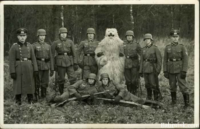 Превед-фотаеццо-с-пленными-1945.jpg