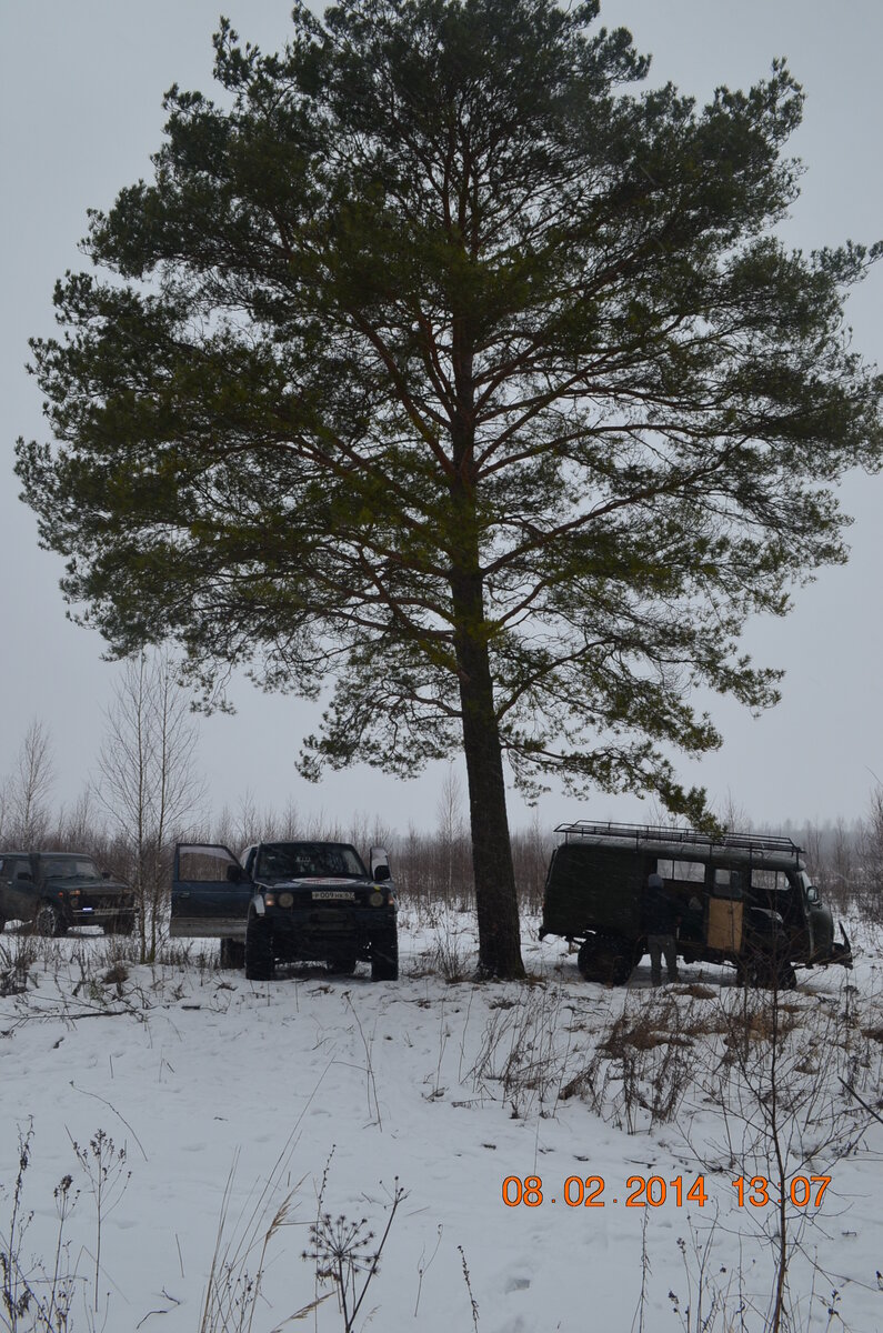 DSC_0103.JPG