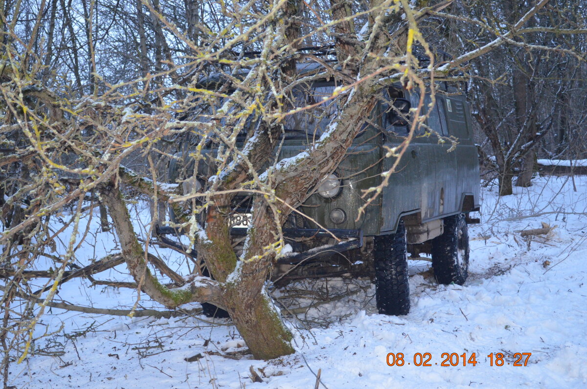 DSC_0223.JPG