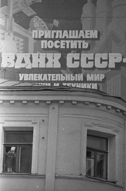 1007876.jpg