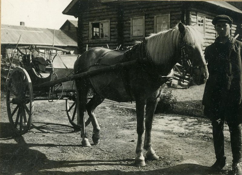 Двуколка и лошадь в запряжке 1928.jpg