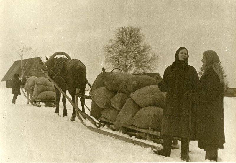 1923112.jpg