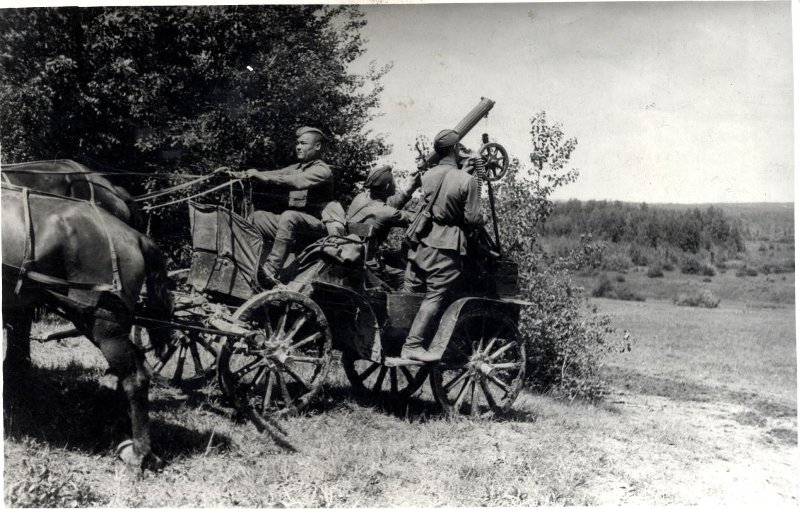4194413.jpg