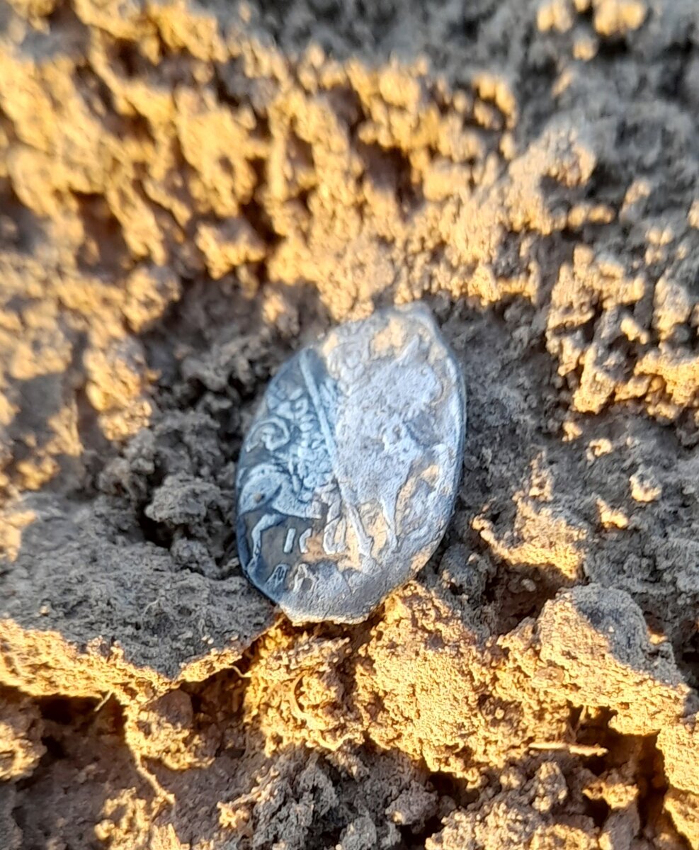 20241029_114610.jpg