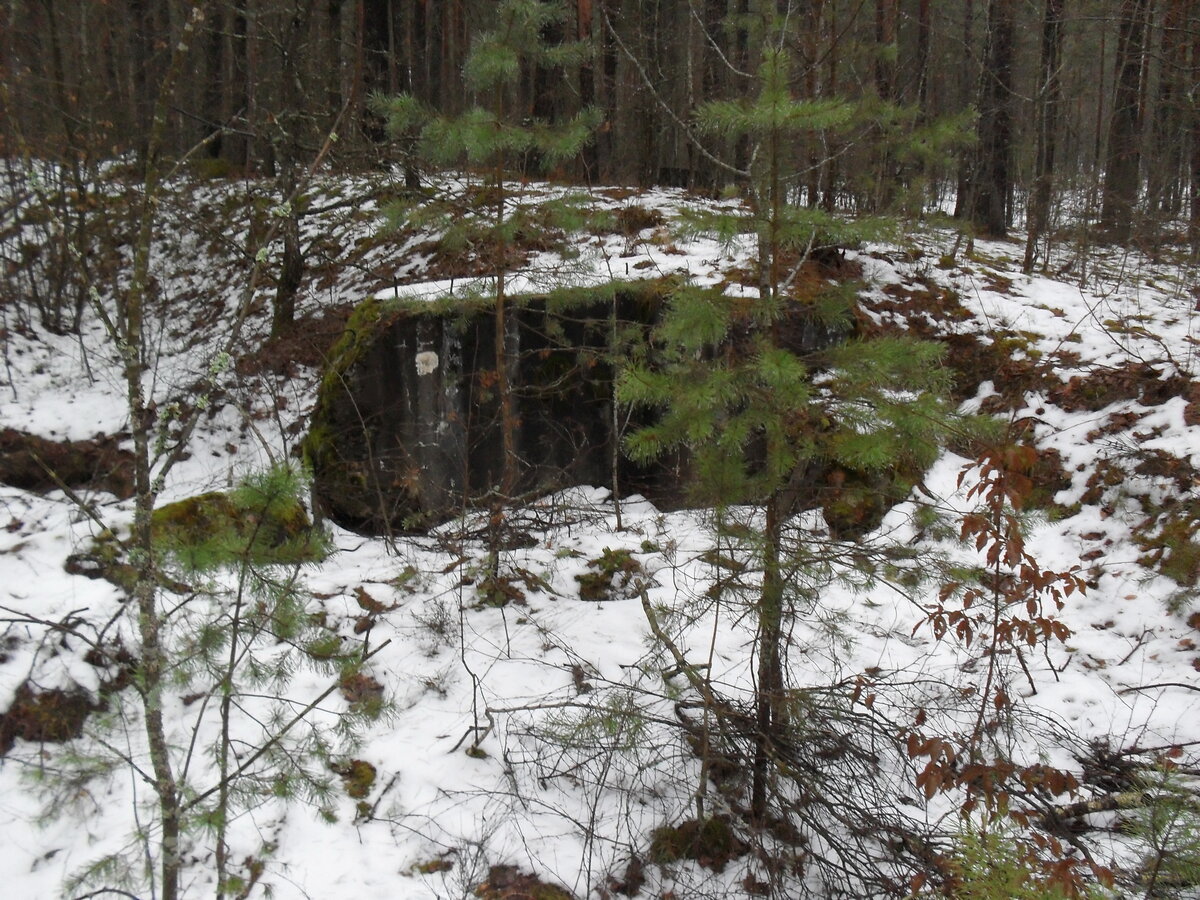 SDC12359.JPG