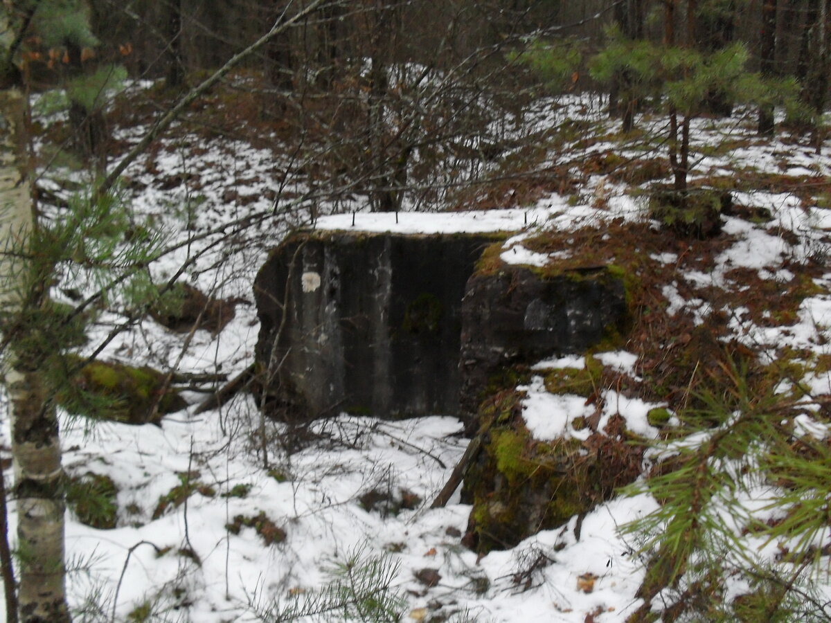 SDC12360.JPG