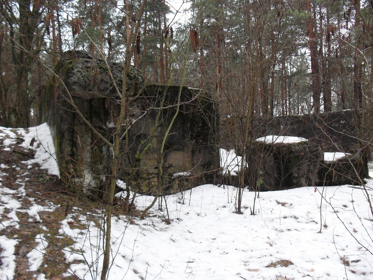 SDC12383.JPG