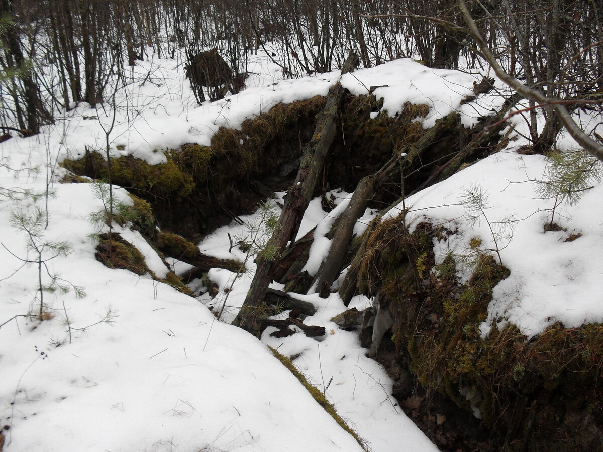 SDC12381.JPG