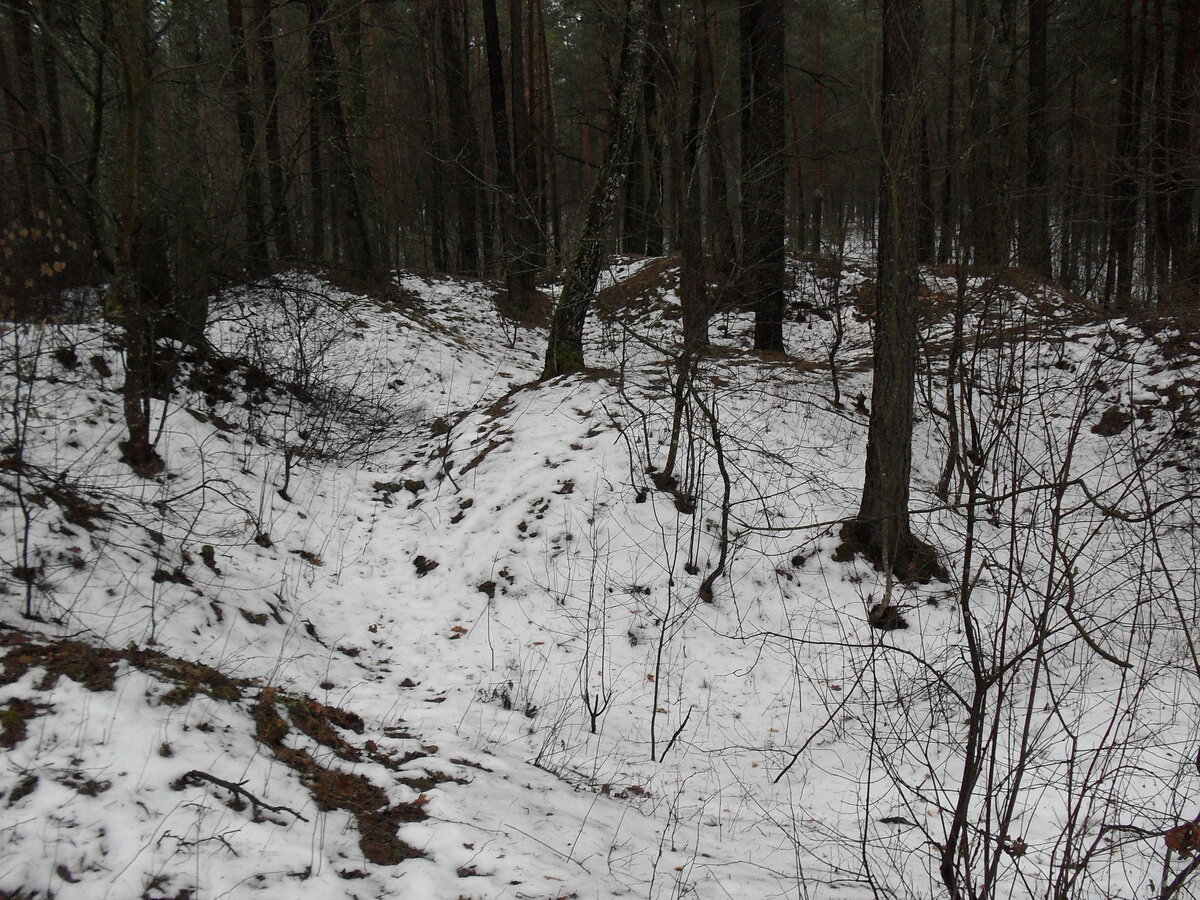 SDC12342.JPG