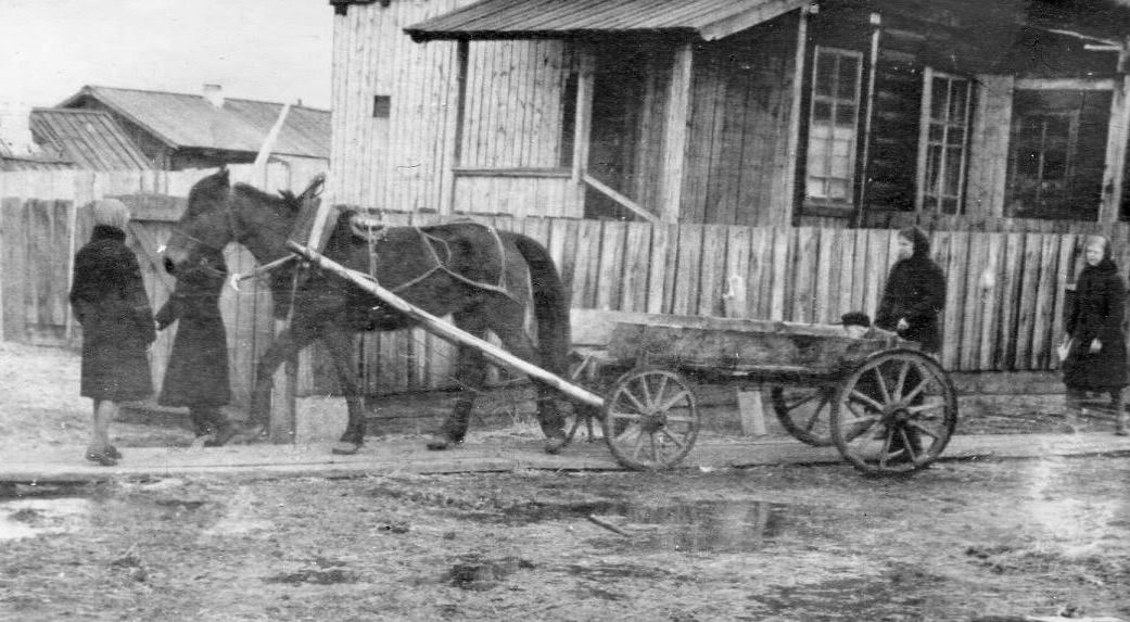 Учащиеся школы № 1 г. Тулуна запрягают лошадь. Иркутская область 1957.jpg