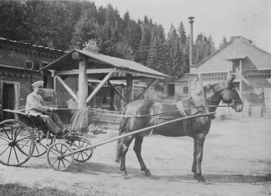 Тарантас с запряжённой лошадью. 1900е Кировский музей.jpg
