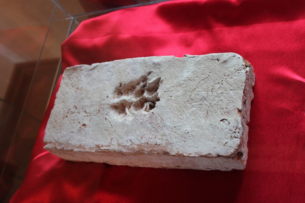 ружаны24.JPG