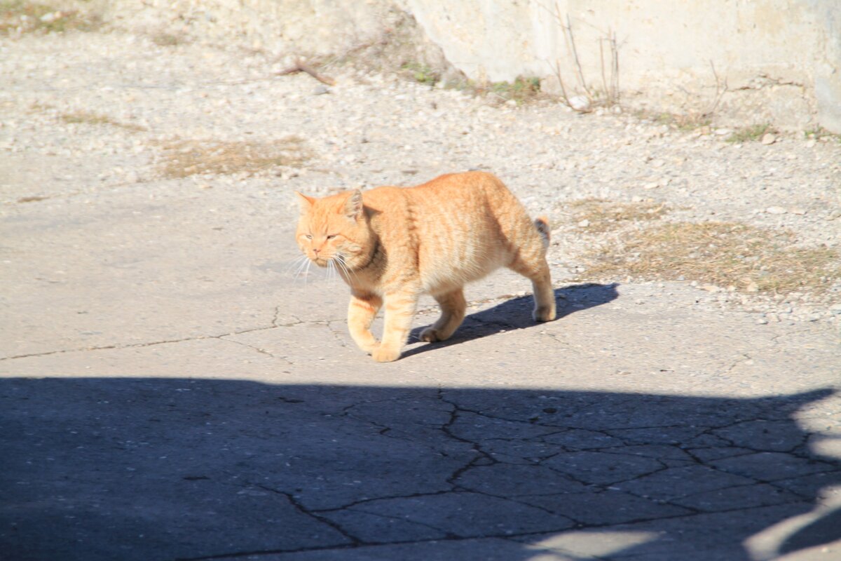 IMG_9474.JPG