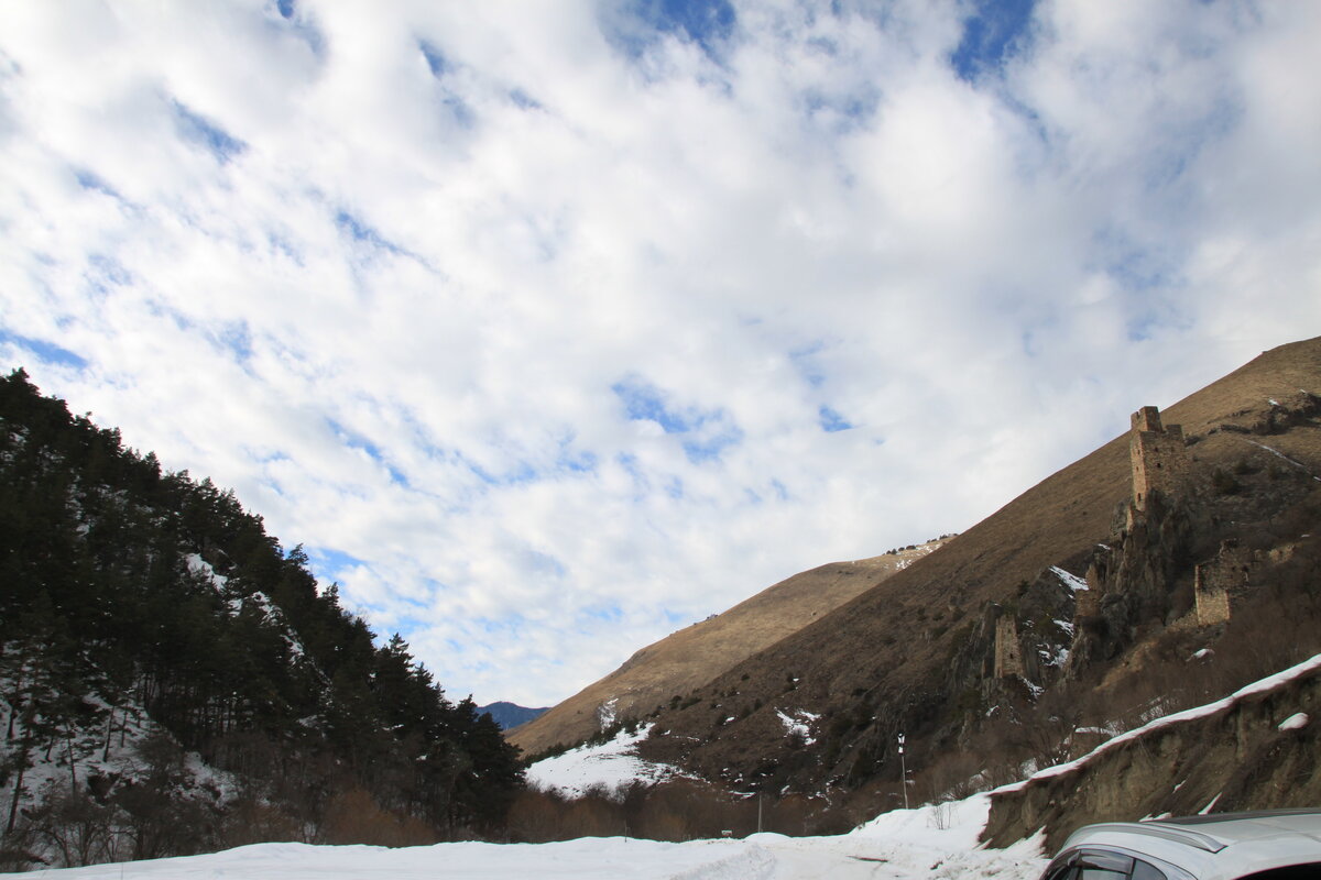 IMG_9773.JPG