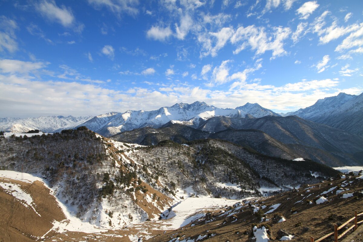 IMG_9875.JPG