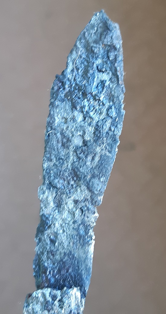 20250208_142204.jpg