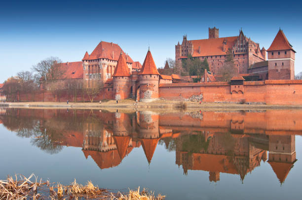 istockphoto-1199023238-612x612.jpg
