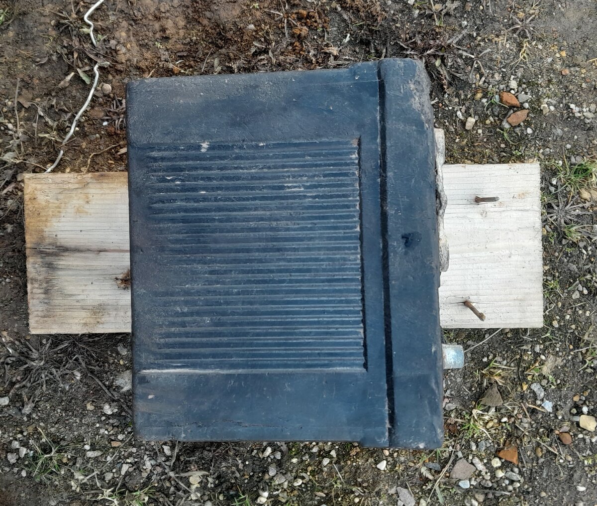 20250320_152156.jpg
