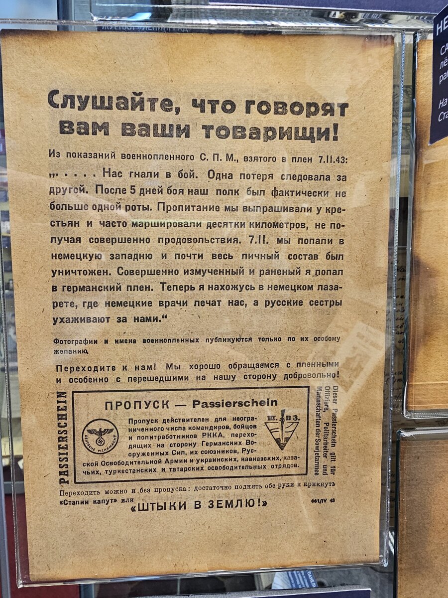 11 - 20250327_172651.jpg