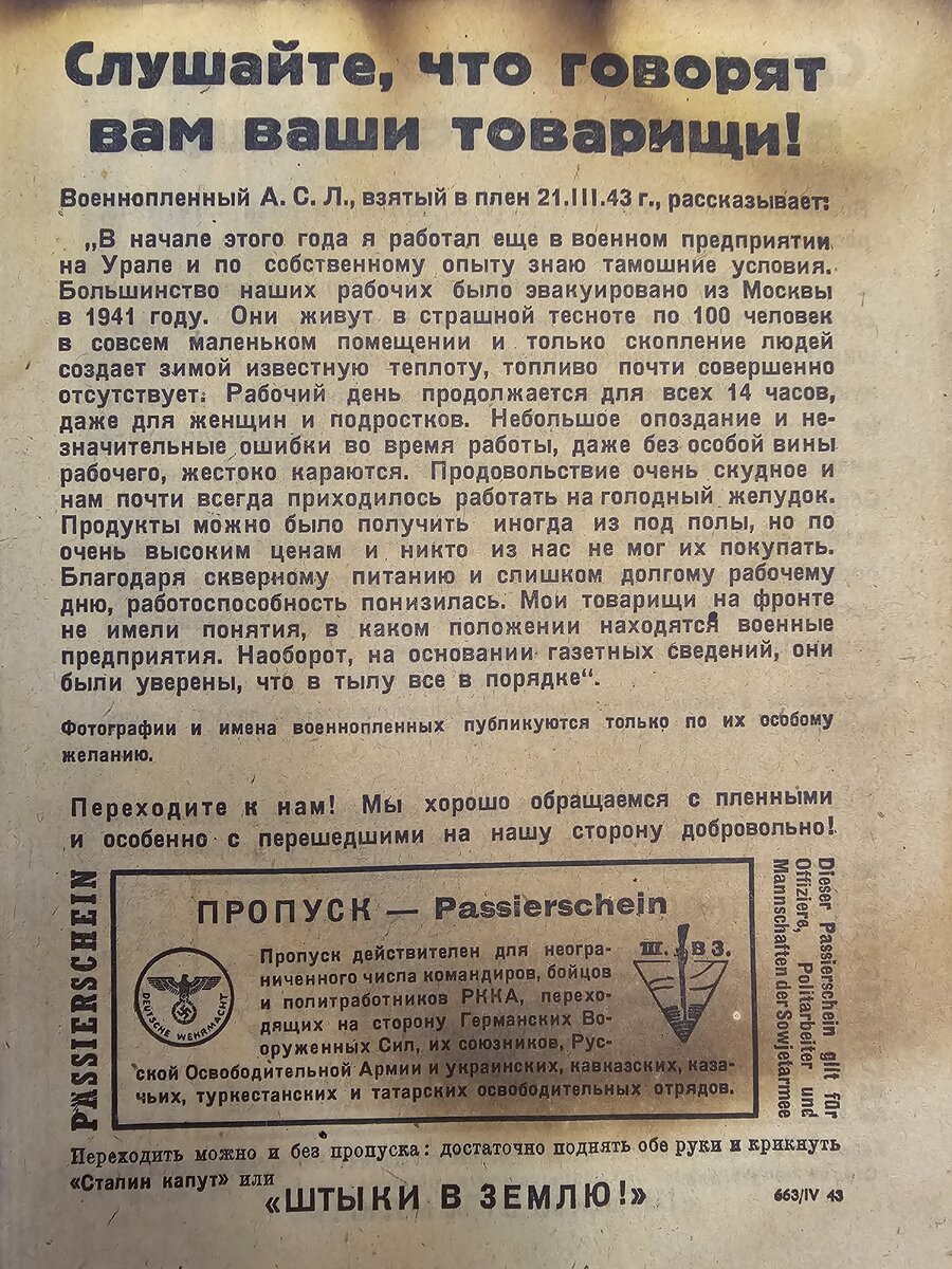 27 - 20231110_124647.jpg