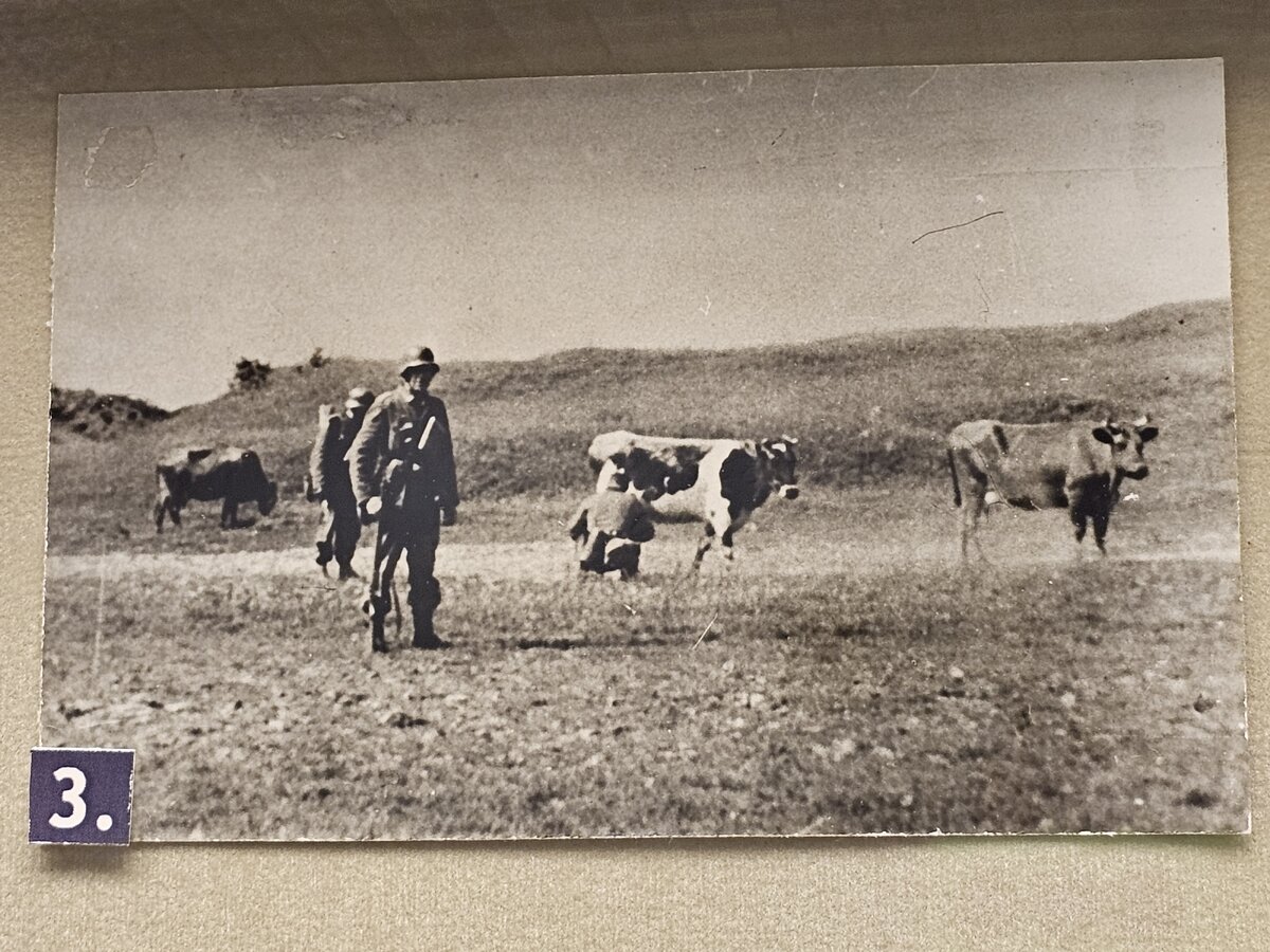 09 - 20250330_143050.jpg