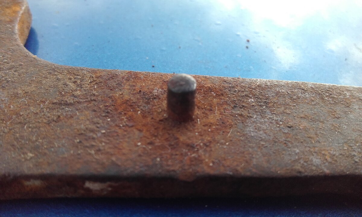 20141031_050648.jpg