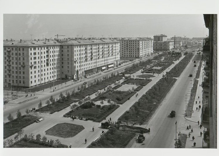 1557701.jpg