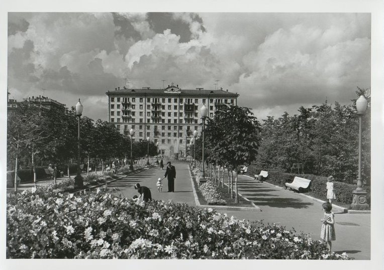1557684.jpg
