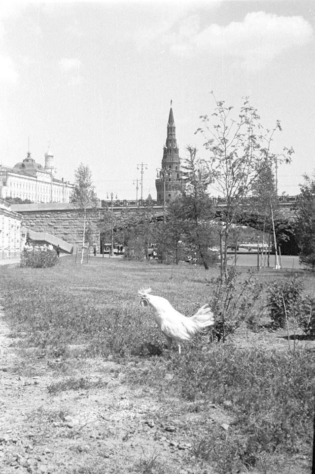 СБ2.jpg