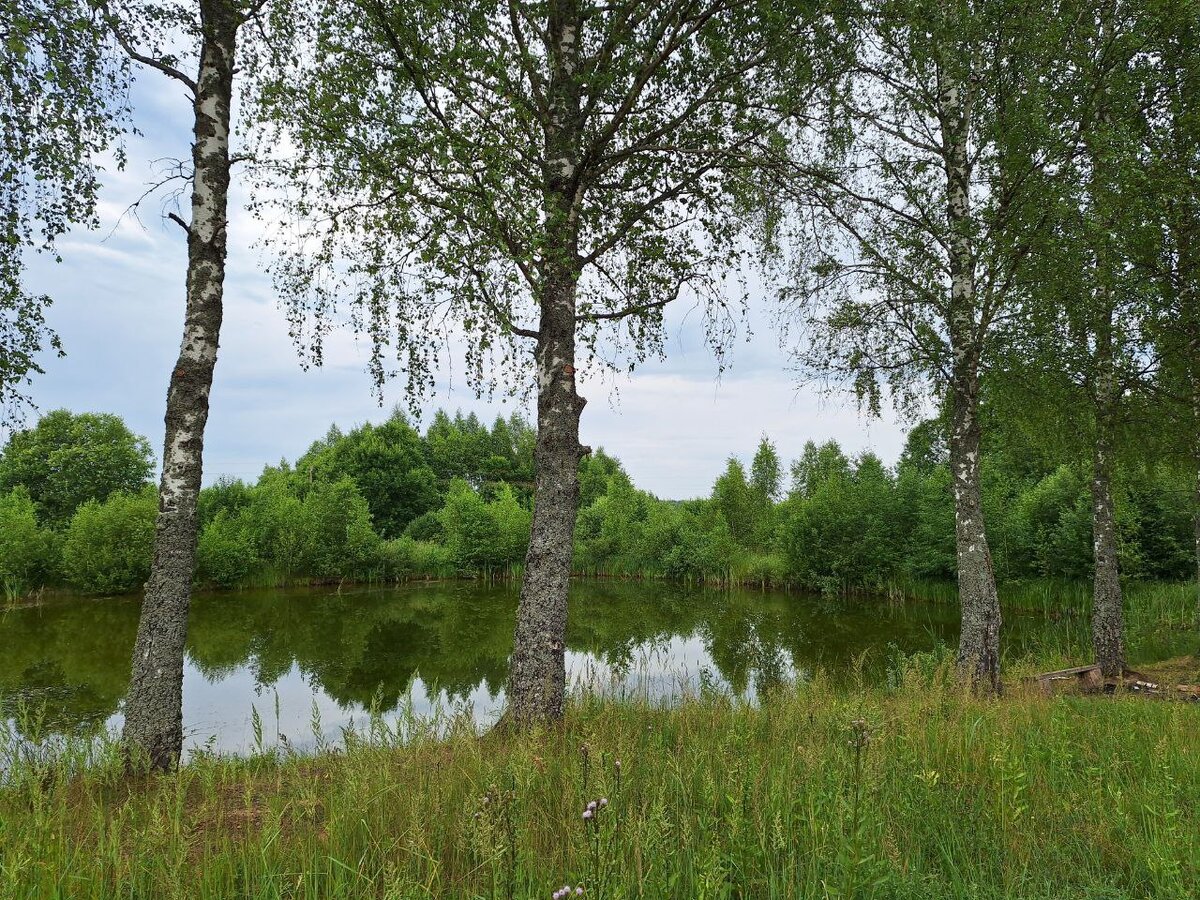 д. Городок. Пруд.jpg