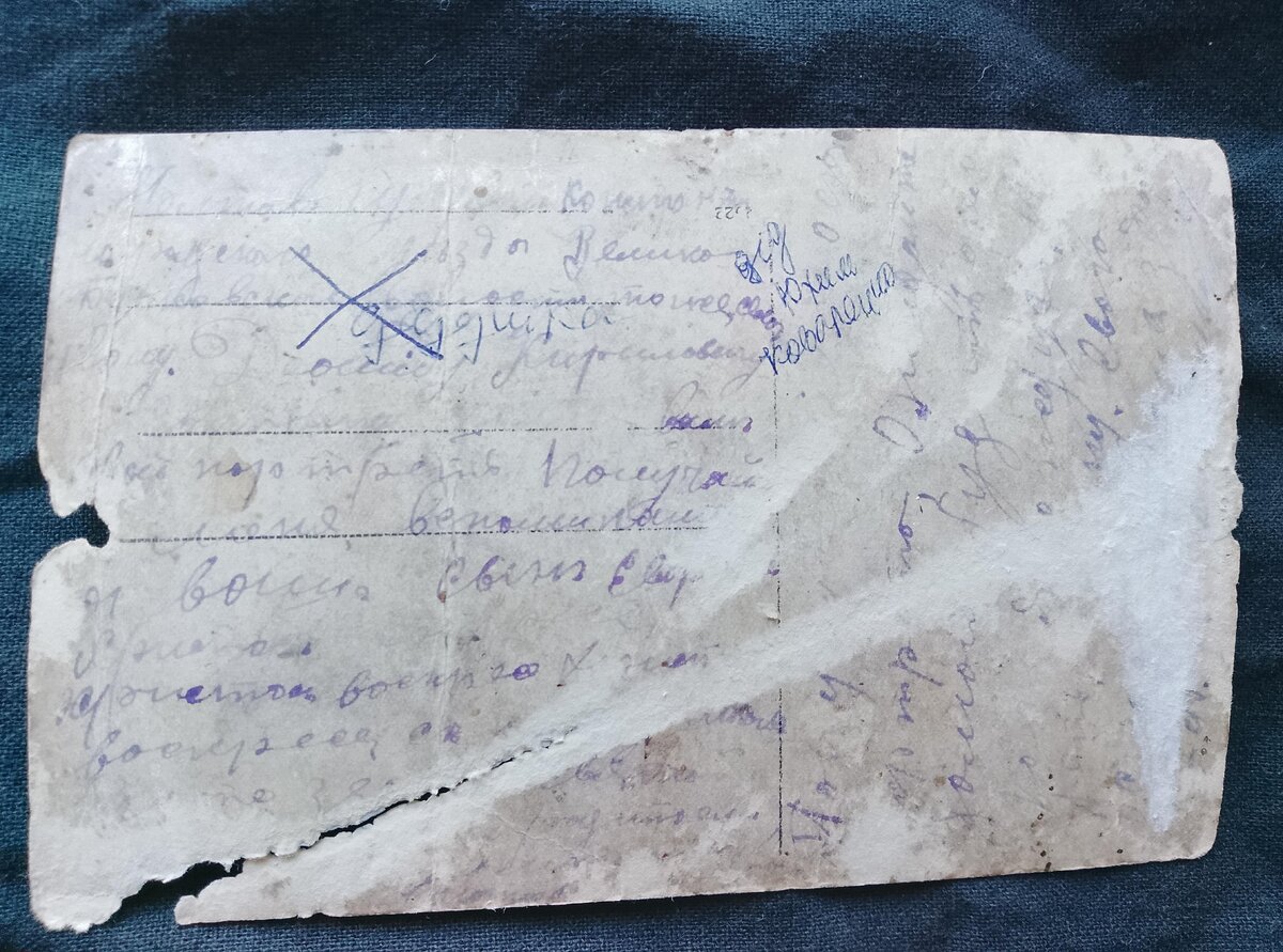 53657567 — копия(1).jpg