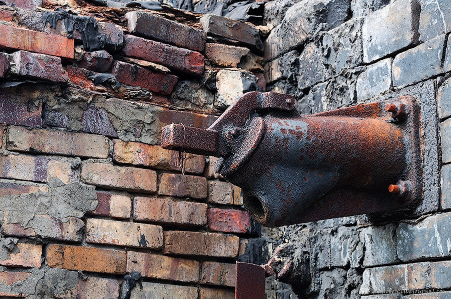 scale_1200.jpg