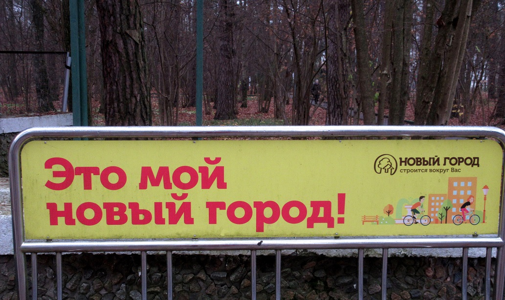 53.JPG