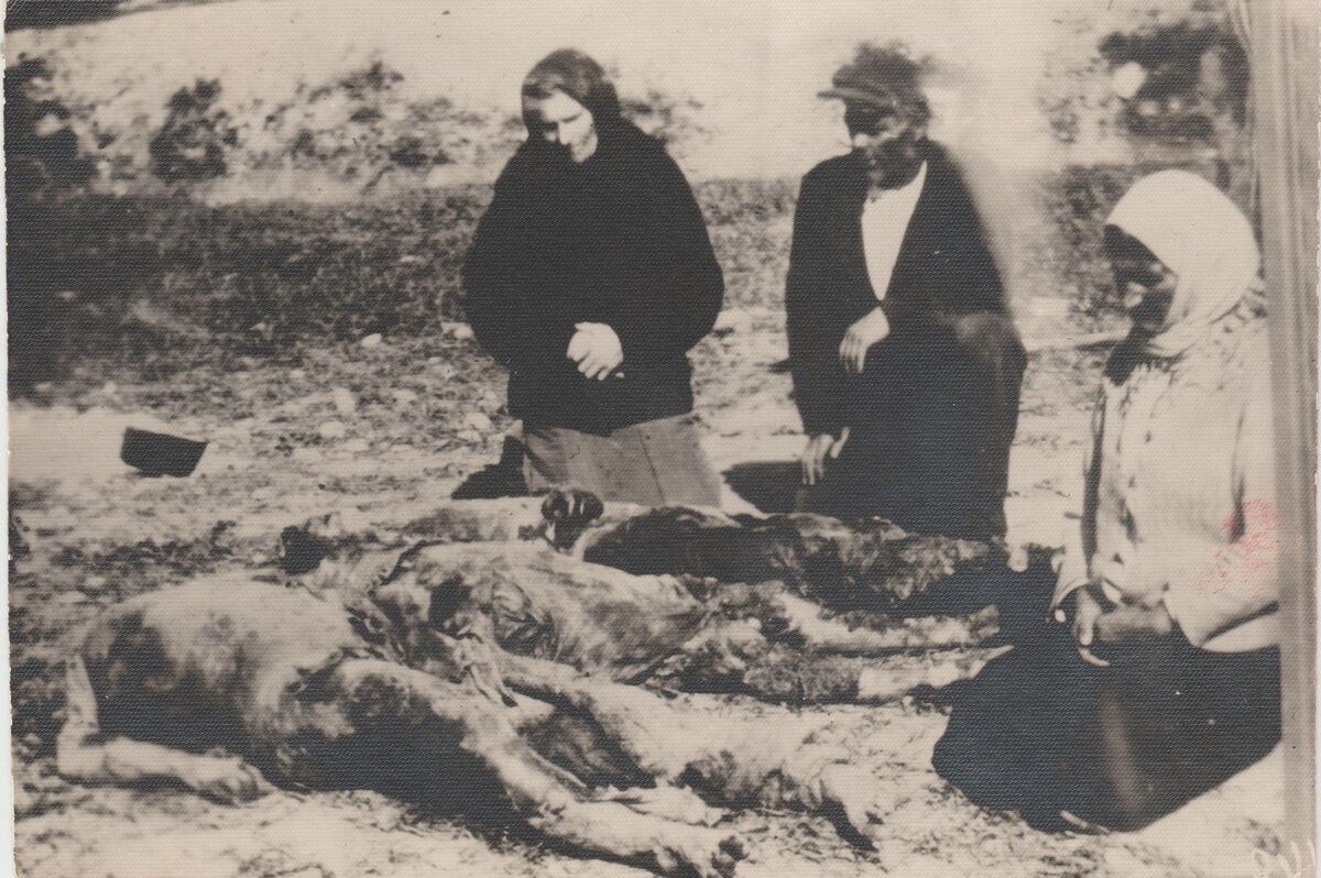 Ф-3954_ЕКМ 2054.jpg