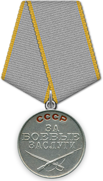 Medal_Za_Boevye_zaslugi.png